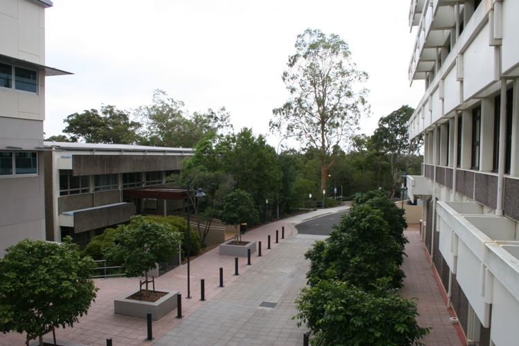 Griffith University, Brisbane